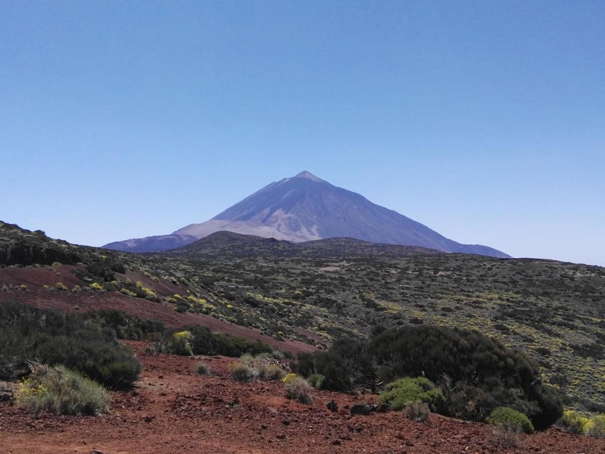 Los Diamantes Komfort Los Cristianos  Exterior foto